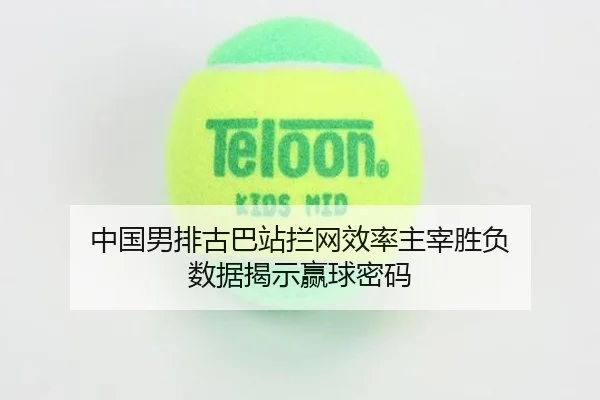 zhong-guo-nan-pai-gu-ba-zhan-lan-wang-xiao-lv-zhu-zai-sheng-fu-shu-ju-jie-shi-ying-qiu-mi-ma-2-584.jpg