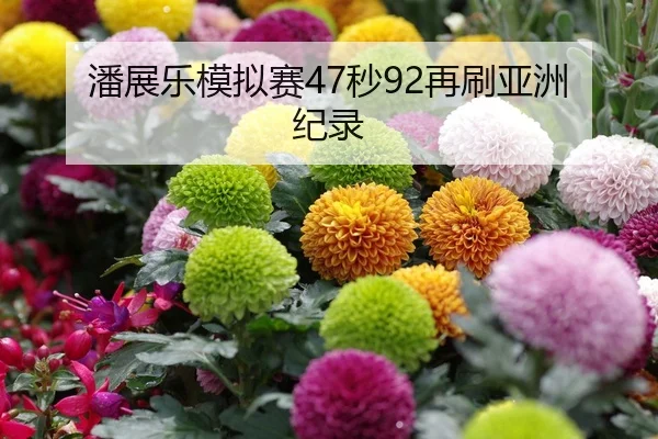 潘展乐模拟赛47秒92再刷亚洲纪录