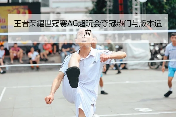 wang-zhe-rong-yao-shi-guan-sai-chao-wan-hui-duo-guan-re-men-yu-ban-ben-shi-ying-2-453.jpg