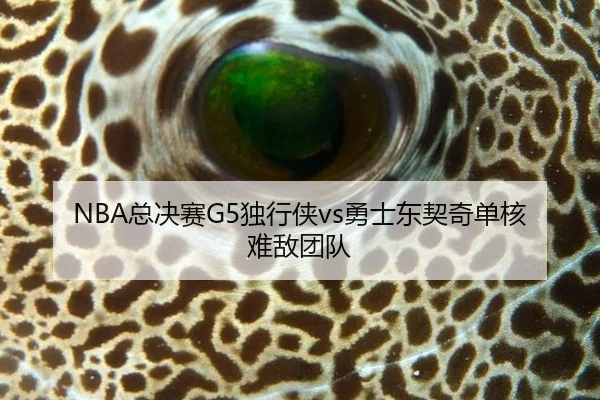 zong-jue-sai-du-xing-xia-yong-shi-dong-qi-qi-dan-he-nan-di-tuan-dui-3-238.jpg